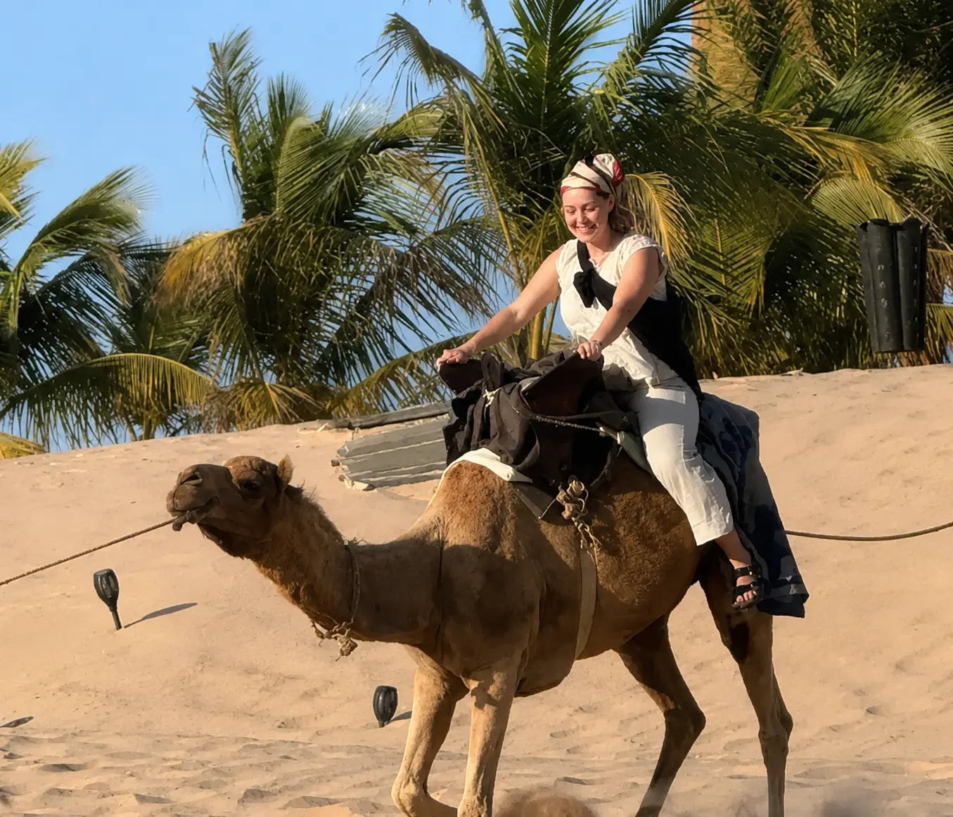 Dromedary ride in the Okai Desert during a Senegal student trip