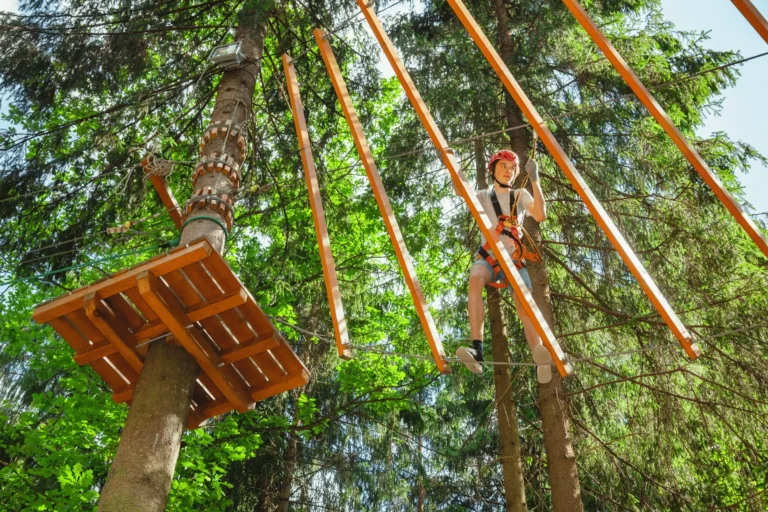 Students completing a treetop adventure at Arbraska in Québec