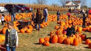 Parents guide for hosting an exchange student pumpkin patch visit